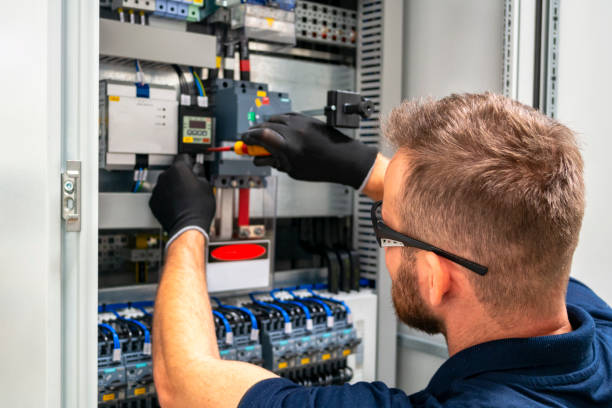 Best Ceiling Fan Installation Electrician  in Plainview, MN