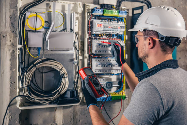 Best Electric Panel Repair  in Plainview, MN